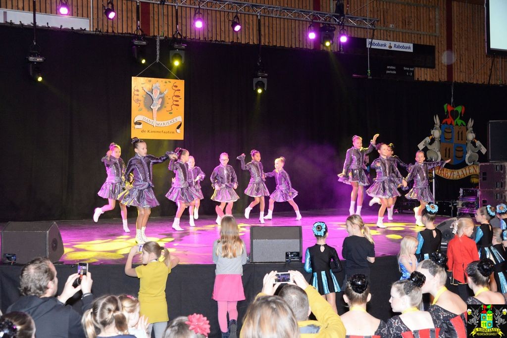 ../Images/Dansmarieke festival 2018 096.jpg